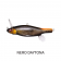 Megabass Anthrax Lure