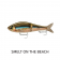 Rapala Super Shadow Rap Glide Lure