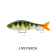 Rapala Super Shadow Rap Glide Lure