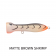 Nomad Design Chug Norris 50 Popper