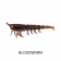 MMD Pop Prawn Lure