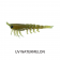 MMD Pop Prawn Lure
