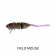 Bucca Baby Bull Rat Lure