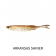 Nomad Design Live Ops Fallout Minnow Lure
