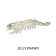 Z-Man PrawnZ Elite Unrigged Lure