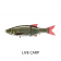 Molix Glide Bait 90 Slow Sinking Lure