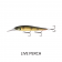 13 Fishing Loco Special Lure