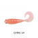 Squidgies Bug Lure