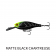 13 Fishing Jabber Shad Deep 70 Lure