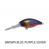 Profishent Rucus Lure