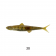 Ever Green Last Ace 80F Lure