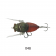 Tiemco Dead Slow Jumbo Cicada Lure