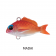 Little Jack Micro Charikom Lure