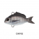 Little Jack Micro Charikom Lure