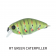 Jackall Micro Chubby Lure