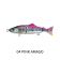Little Jack Gillary Lure