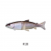 OSP Nichika 167F Swimbait Lure
