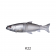 OSP Nichika 167F Swimbait Lure