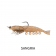 Berkley PowerBait Cullshrimp Lure