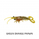 Molix Twin Tail Prawn Lure