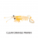 Molix Twin Tail Prawn Lure