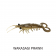 Molix Twin Tail Prawn Lure