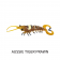 Molix Twin Tail Prawn Lure