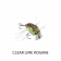 Jackall Chubby Bug Lure