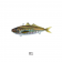 Little Jack Zeigos Lure
