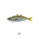 Little Jack Zeigos Lure