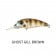 Atomic Hardz Bream Shad 40 Deep Diver