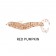 Atomic Plazos APF Prong
