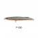 Bassday Bungy Cast 100mm
