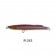 Bassday Bungy Cast 100mm