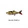 Westin Ricky The Roach (HL / SB)