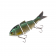 Bucca Bull Shad