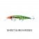 Classic 120mm Barra Ghost Series