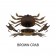 Cranka Crab 65mm