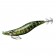 Daiwa Emeraldas Nude Squid Jig - 2.5