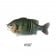 Imakatsu Gill Roid Jr 3D Realism