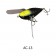 Imakatsu Wood Aventa Crawler GT