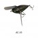Imakatsu Wood Aventa Crawler GT
