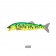 Little Jack Gorgon Swimbait