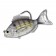 Live Target Pinfish Swimbait