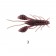 Lurefans Mini Force Craw