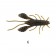 Lurefans Mini Force Craw