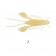 Lurefans Mini Force Craw