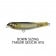 Megabass Dog-X Jr. Coayu