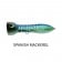Nomad Chug Norris Popper 72-95mm