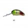 Oar-Gee Lures Pee-Wee Rattle
